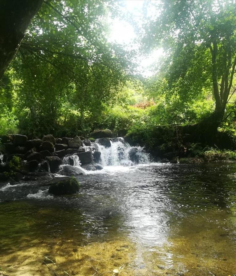 Casa Campo Villa Amarante Dış mekan fotoğraf